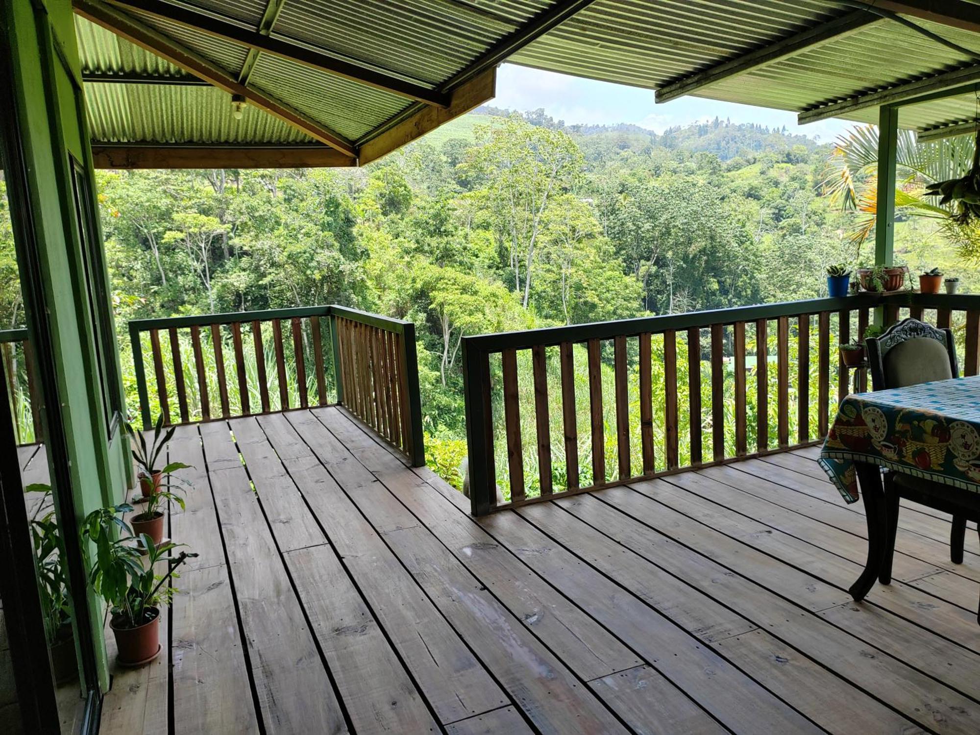 Bella Vista Guest House Turrialba Exterior photo